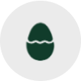 Egg.png